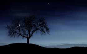 vladstudio月夜系列桌面壁纸