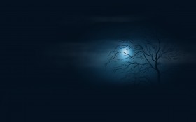 vladstudio月夜系列桌面壁纸