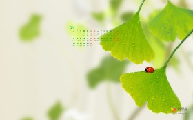 2011年12月 腾讯QQ月历桌面壁纸