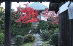日本庭院观秋桌面壁纸