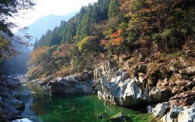 碧水映红叶桌面壁纸
