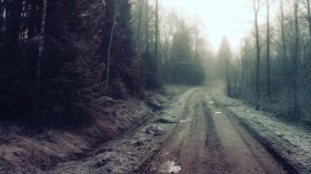 2012年冬日雪景摄影桌面壁纸