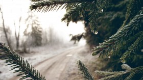 2012年冬日雪景摄影桌面壁纸