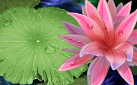 炫彩手绘动植风光高清桌面壁纸