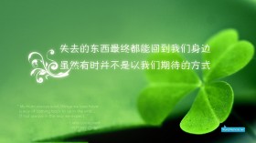 唯美养眼纯色文字桌面壁纸