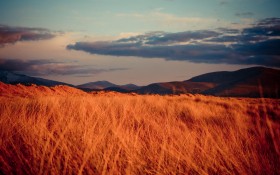 Linux Mint 13 （玛雅）风景桌面壁纸