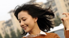 《搜索》桌面壁纸