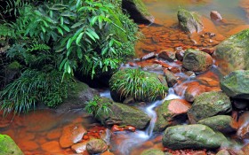 贵州赤水天柱峰佛光岩风景桌面壁纸