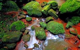 贵州赤水天柱峰佛光岩风景桌面壁纸