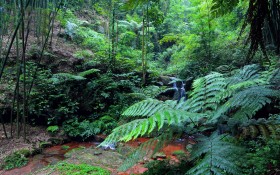 贵州赤水红石野谷丹霞壁画风景桌面壁纸