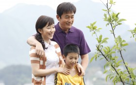 《雨中的树》桌面壁纸