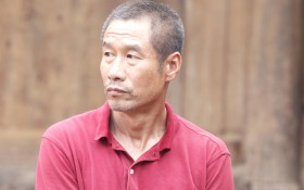 《雨中的树》桌面壁纸