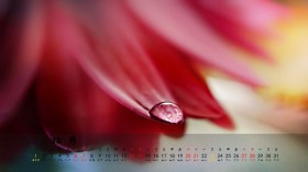 2012年10月清新月历桌面壁纸[1920x1080]