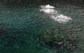 济南趵突泉风景壁纸