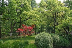 杭州学士公园风景桌面壁纸