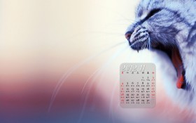 2012年11月月历桌面壁纸