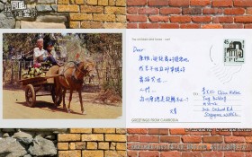 我可能不会爱你电视剧桌面壁纸