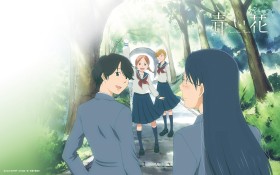 《青之花》桌面壁纸