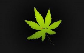 友帮拓广告桌面壁纸