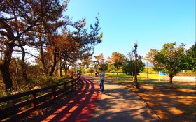 韩国济州岛风景桌面壁纸