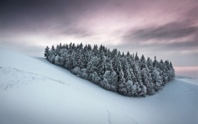 唯美雪景桌面壁纸
