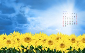 天堂原创 2012年12月风景月历桌面壁纸