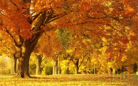 天堂原创 2012年12月风景月历桌面壁纸