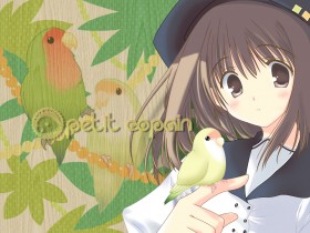 日本插画家三实美里作品桌面壁纸