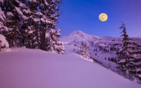 白雪皑皑的美丽雪景桌面壁纸