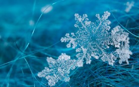 雪花桌面壁纸