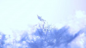 雪花桌面壁纸