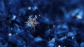 雪花桌面壁纸