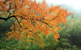 江西石城长溪风景桌面壁纸