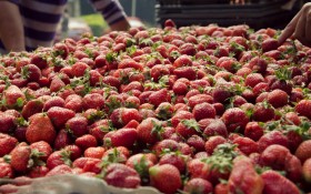 厦门鼓浪屿风景桌面壁纸