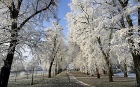 雪后的道路风景桌面壁纸