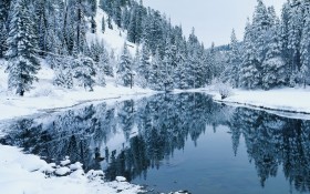 森林雪景桌面壁纸