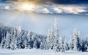 森林雪景桌面壁纸
