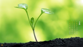 24节气之一立春风景桌面壁纸