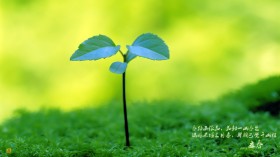24节气之一立春风景桌面壁纸