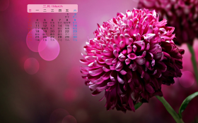 天堂精选 2013年3月花卉月历桌面壁纸
