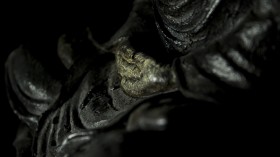 少林寺微距摄影风景桌面壁纸