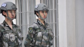 《我是特种兵之火凤凰》电视剧桌面壁纸