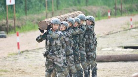 《我是特种兵之火凤凰》电视剧桌面壁纸