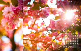 2014年4月日历桌面壁纸