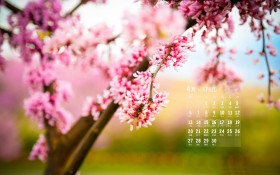2014年4月日历桌面壁纸