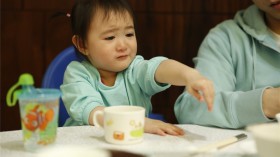 《爸爸回来了》萌神奥利桌面壁纸