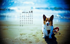 2014年6月月历桌面壁纸