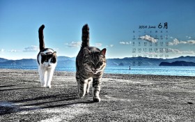 2014年6月月历桌面壁纸