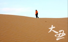 《大丑》电影桌面壁纸
