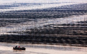 福建霞浦北歧风景油画桌面壁纸